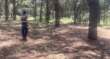 Jandarma orman yangınlarına karşı teyakkuzda