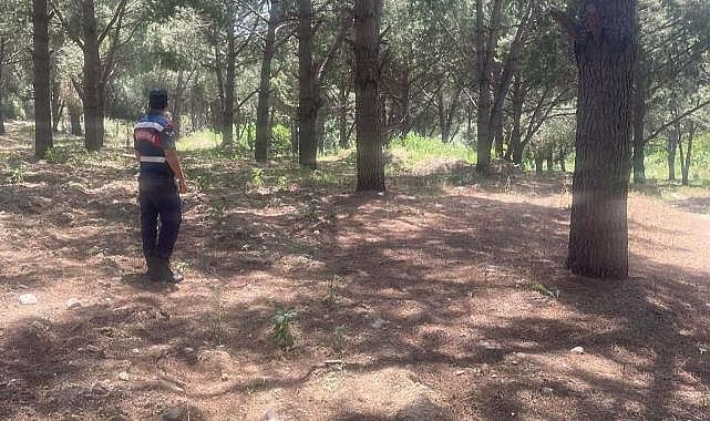 Jandarma orman yangınlarına karşı teyakkuzda