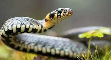 Korkulan istila başlıyor! Uzmanlar uyardı: O tarihe dikkat!