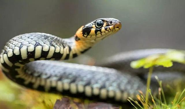 Korkulan istila başlıyor! Uzmanlar uyardı: O tarihe dikkat!