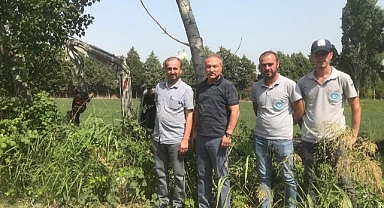 Turgutalp Mahallesi'nde dere temizliği yapıldı