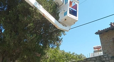 Yangına Karşı Budama Önlemi