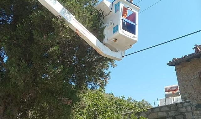 Yangına Karşı Budama Önlemi