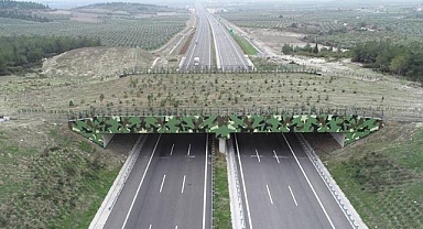 Bakan açıkladı! Denizli-Aydın otoyoluna ekolojik köprü yapılacak