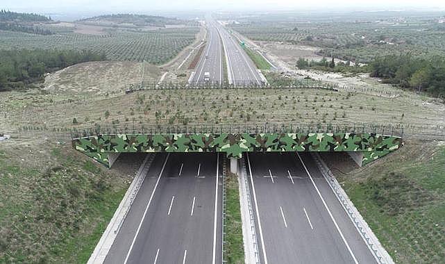 Bakan açıkladı! Denizli-Aydın otoyoluna ekolojik köprü yapılacak