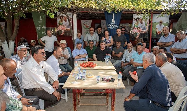 Başkan Soyer domates ve karpuz hasadına katıldı