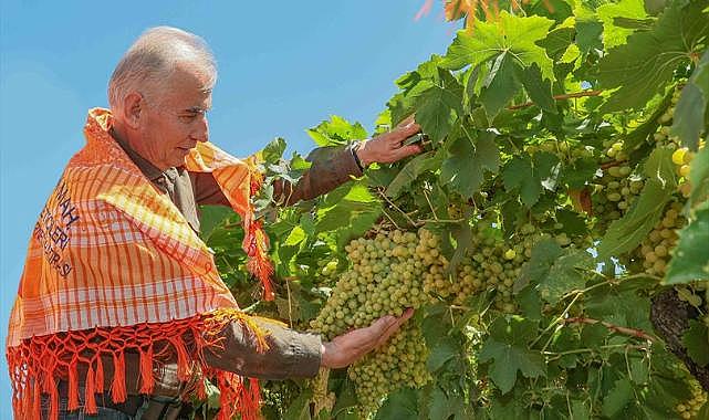 Büyükşehir’den 1700 çiftçiye toprak analiz desteği