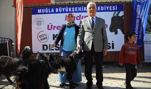 Büyükşehir&#039;in Kıl Keçisi desteği 3 ilçede devam ediyor