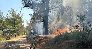 Çanakkale'deki yangına İzmir'den destek
