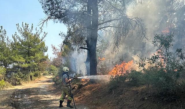 Çanakkale'deki yangına İzmir'den destek