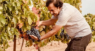 Denizlili firma İngiltere'den 2 altın madalya ile döndü