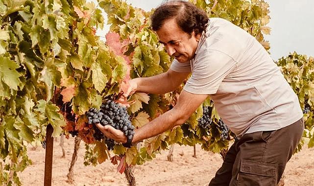 Denizlili firma İngiltere&#039;den 2 altın madalya ile döndü