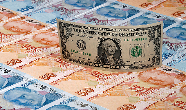 Dolar/TL zirvede, gözler faiz kararı ve KKM'de