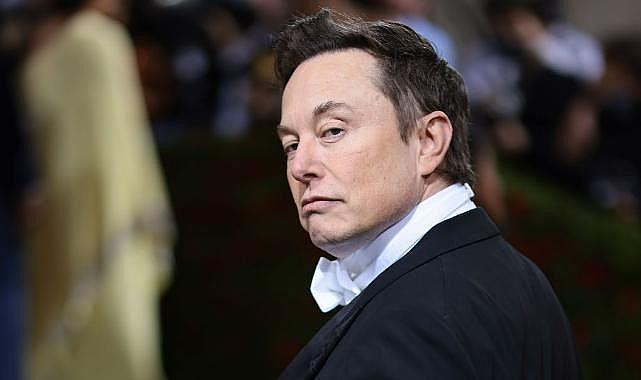 Elon Musk'ın babası Errol Musk, kafes dövüşü hakkında konuştu: "Aptalca bir numara"