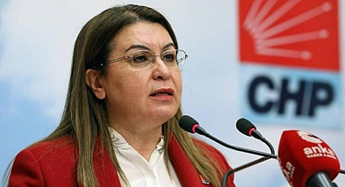 Gülizar Biçer Karaca: Kral çıplak diyemeyenlerin saklayamadığı gerçek aşırı yoksulluk