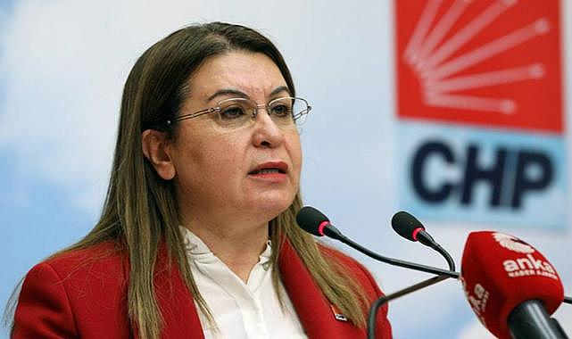 Gülizar Biçer Karaca: Kral çıplak diyemeyenlerin saklayamadığı gerçek aşırı yoksulluk