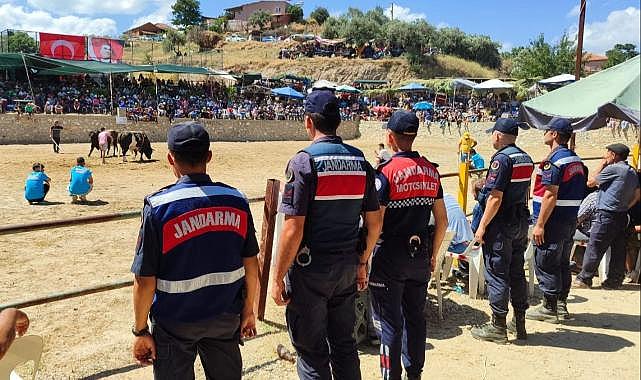 Jandarma boğa güreşlerinde kuş uçurtmadı