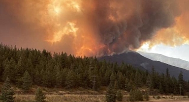 Kanada yanıyor: British Columbia'da acil durum ilan edildi