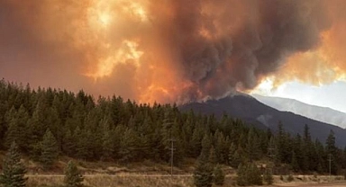Kanada yanıyor: British Columbia'da acil durum ilan edildi