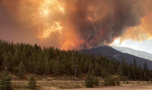 Kanada yanıyor: British Columbia'da acil durum ilan edildi