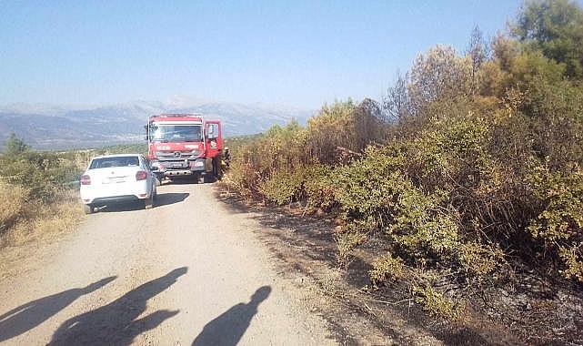 Karacasu'da ormanlık alanda yangın