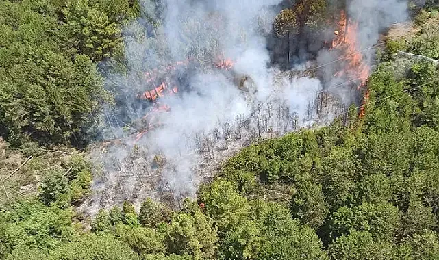 Muğla&#039;da orman yangını