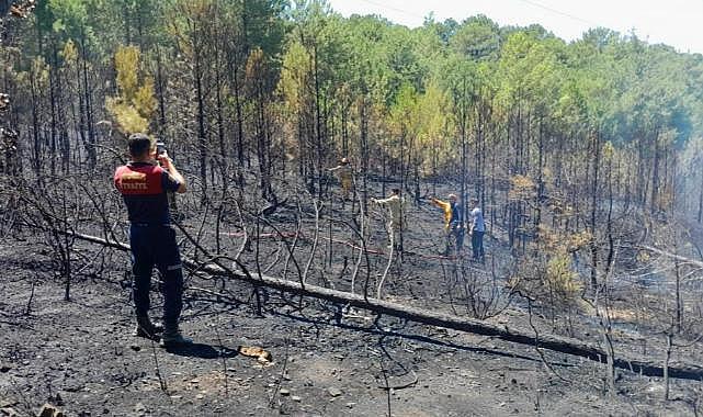 Muğla&#039;daki orman yangını kontrol altına alındı