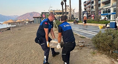 Plajda taş temizliği