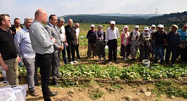 Tarım İşçisinin Koruyucu Ekipmanları Büyükşehir'den