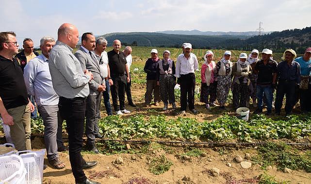 Tarım İşçisinin Koruyucu Ekipmanları Büyükşehir'den