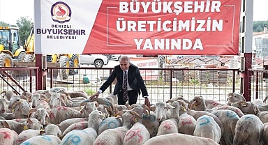 Üreticiler, Büyükşehir destekleriyle nefes alıyor