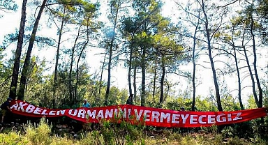 Valilik 'durdu' demişti, Akbelen'de ağaç kıyımı sürüyor!