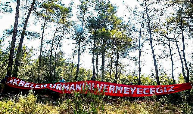 Valilik 'durdu' demişti, Akbelen'de ağaç kıyımı sürüyor!