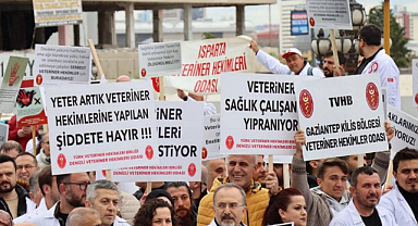 Veteriner hekimler iş bırakacak