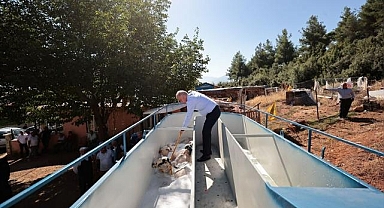 Büyükşehir'den bir destek de küçükbaş hayvancılığa