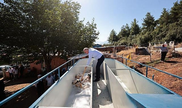 Büyükşehir&#039;den bir destek de küçükbaş hayvancılığa
