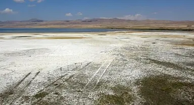 Kuş cenneti Erçek Gölü’nün kıyı şeridi buhar oldu