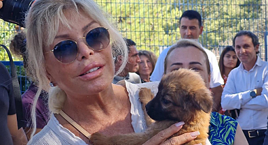 Süperstar Ajda, sokak hayvanlarına kucak açtı
