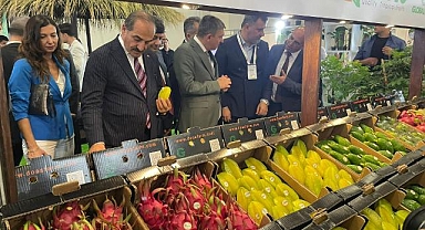 Yaş meyve sebze sektörü 302,2 milyar dolarlık OVP ihracat hedefine 4 milyar dolar katkı hedefliyor