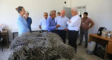 Büyükşehir Belediyesi’nin Tarımsal Güçbirliği Projesi Üreticiye Kazandırıyor