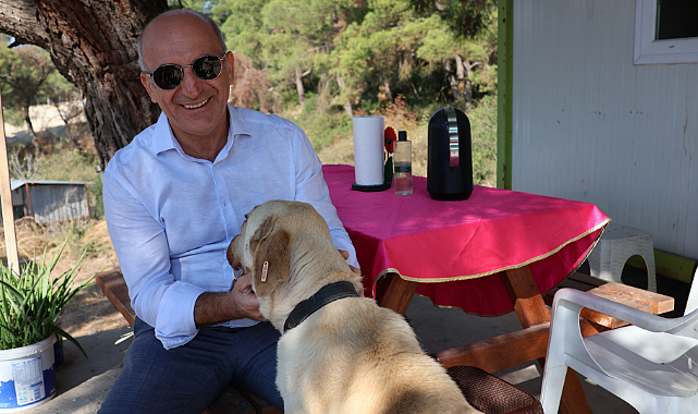 Egeli ihracatçılardan barınak hayvanlarına mama yardımı