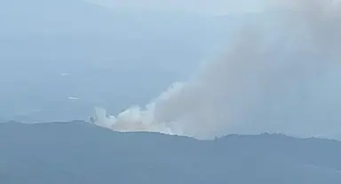İzmir’de korkutan orman yangını!