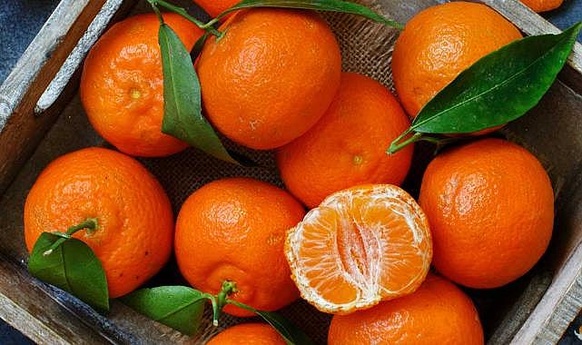 Satsuma mandalinanın ihracat yolculuğu 20 Ekim&#039;de başlıyor