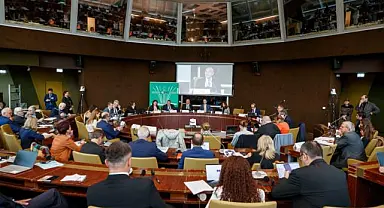 Soyer, Avrupa Konseyi Bölgeler Meclisi Başkanı oldu