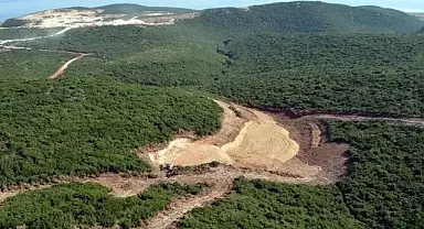 Bakanlık onay verdi… Ağaç kırımı!