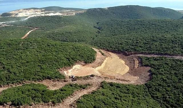 Bakanlık onay verdi… Ağaç kırımı!