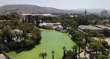 Göl Gazinosu yeniden ayağa kalkıyor