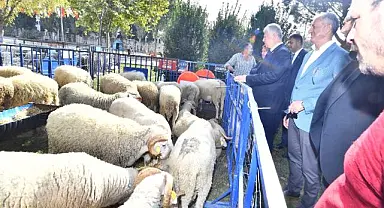 Ödemişli üreticiye küçükbaş hayvan ve yem bitkisi tohumu dağıtıldı