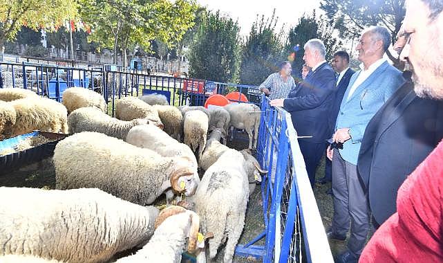 Ödemişli üreticiye küçükbaş hayvan ve yem bitkisi tohumu dağıtıldı