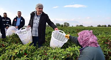 Turgutlu’da Zeytin Emekçilerine Büyükşehir’den Koruyucu Malzeme